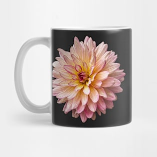 Lovely Single Chrysanthemum Mug